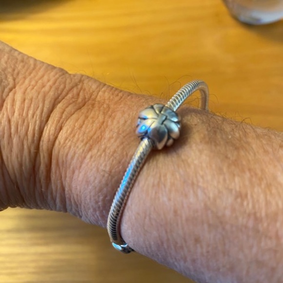 Pandora Silver Snake Chain Bracelet with 2 Spacer Charms - Picture 12 of 13